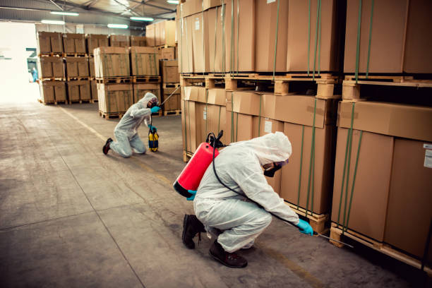 Best Best Pest Control Companies  in Danville, CA