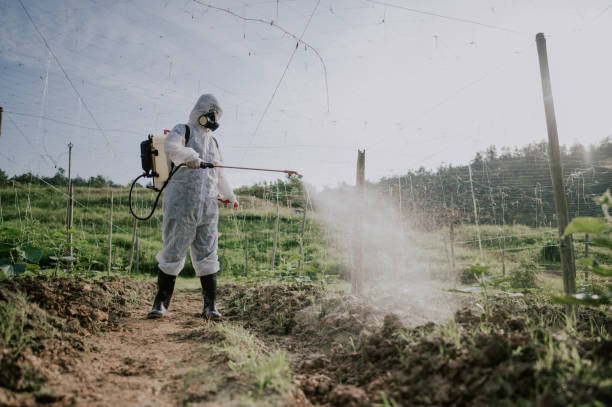 Best Commercial Pest Control Services  in Danville, CA