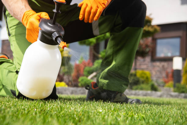 Best Rat Extermination Near Me  in Danville, CA