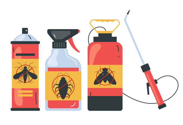 Best Affordable Pest Control Services  in Danville, CA