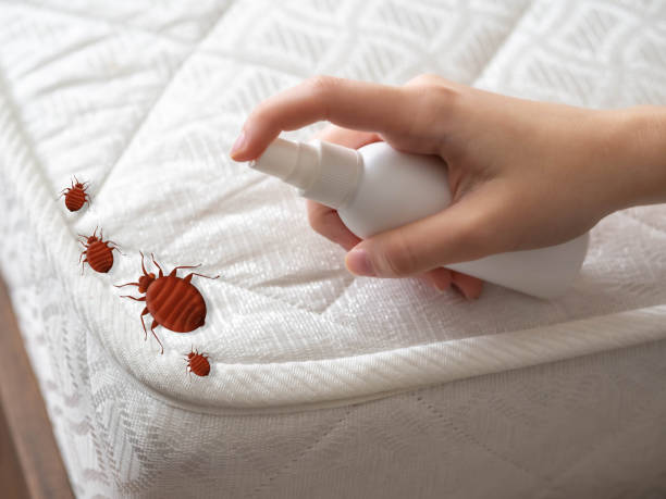 Danville, CA Pest Control Company